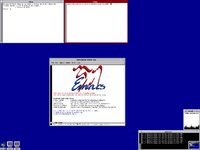 OpenBSD/X11/FVWM Screenshot 1600x1200